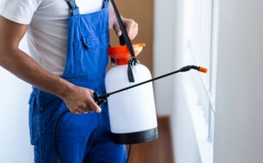 Acompanhamento e manutenção preventiva pós-dedetização