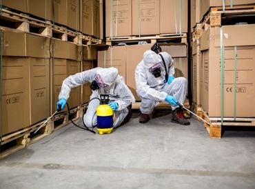 Serviços comerciais de controle de pragas