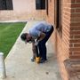 Trabalho Desratização